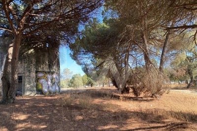 /international/pt/moita-setubal-municipality-120093089176/
