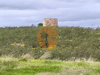 /international/pt/azinhal-castro-marim-faro-310106779555/