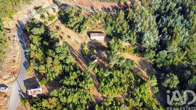 /international/pt/madeira-castelo-branco-310101187890/