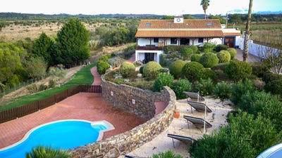 /international/pt/sao-teotonio-beja-310098720360/