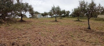 /international/pt/fonte-fria-castelo-branco-braganca-310105230958/