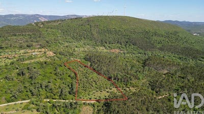 /international/pt/leiria-leiria-310107944181/