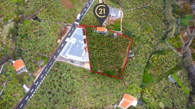 /international/pt/estrada-dos-lemes-38-9360-560-ponta-do-sol-portugal-ilha-da-madeira-madeira-310108307346/