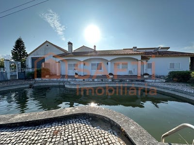 /international/pt/brogueira-santarem-310100731868/