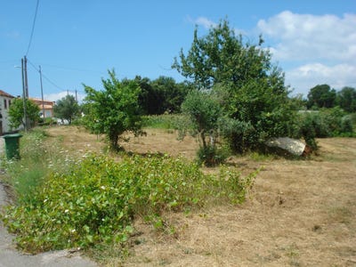 /international/pt/circo-pereiro-de-alem-poiares-santo-andre-coimbra-310108481005/