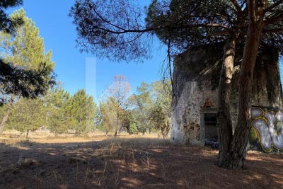 /international/pt/moita-setubal-municipality-120093089176/