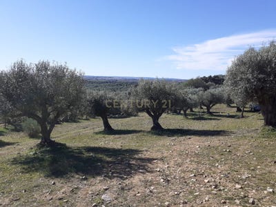/international/pt/tapada-dos-silvestres-e-tapada-da-serra-corval-evora-310093885189/