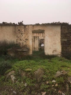 /international/pt/sao-barnabe-beja-310101352915/?lang=zh-cn
