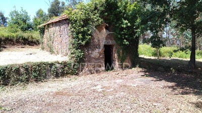 /international/pt/agueda-e-borralha-agueda-aveiro-310097001872/?lang=zh-tw