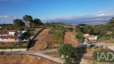 /international/pt/porto-braga-310102337643/