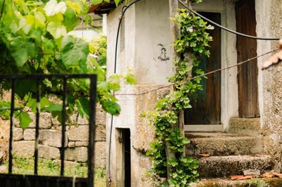/international/pt/penafiel-porto-310108893946/