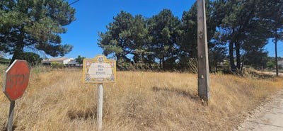 /international/pt/palmela-setubal-municipality-310100988647/