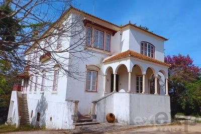 /international/pt/meia-via-santarem-310106773279/