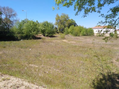 /international/pt/estrada-nacional-escalos-de-cima-castelo-branco-310105185343/