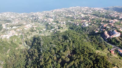 /international/pt/pedra-redonda-ilha-da-madeira-madeira-310105099750/