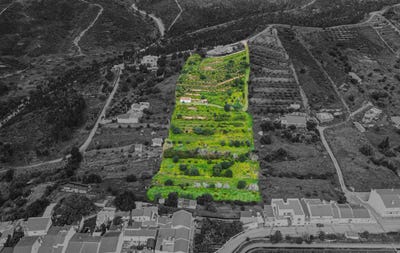/international/pt/silves-faro-310107013129/