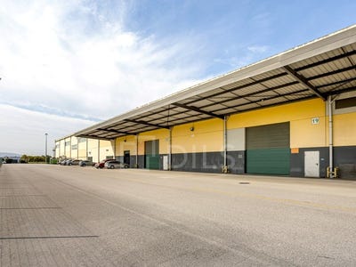 /international/pt/quinta-do-anjo-setubal-municipality-310107237493/