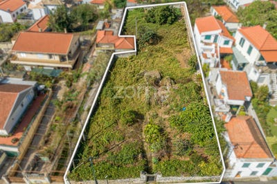 /international/pt/funchal-madeira-310094918745/
