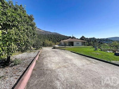 /international/pt/porto-braga-310106741247/