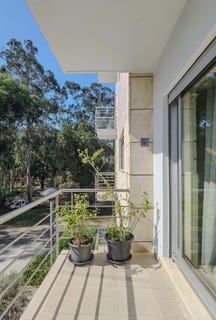 /international/pt/vereda-de-fradique-mendes-42-moreira-portugal-moreira-guarda-310102834928/
