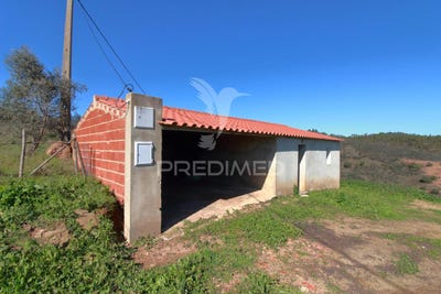 /international/pt/sao-martinho-das-amoreiras-odemira-beja-310097282341/