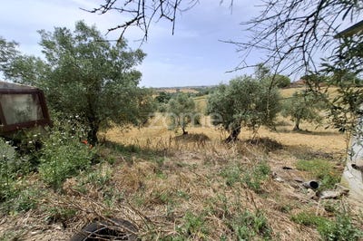 /international/pt/santarem-santarem-310100824107/