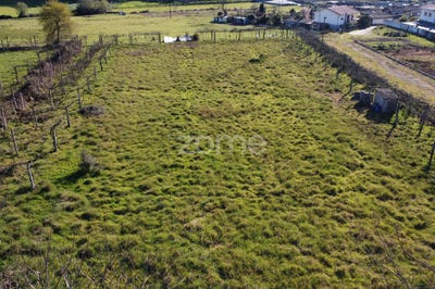 /international/pt/vila-nova-de-famalicao-braga-120081227667/