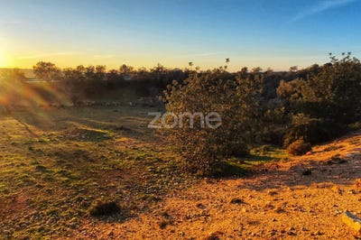 /international/pt/silves-faro-120088576240/