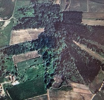 /international/pt/2550-429-painho-portugal-painho-e-figueiros-lisbon-310105182432/