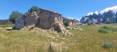 /international/pt/beja-beja-310100931548/