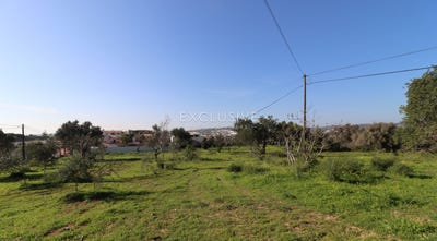 /international/pt/faro-faro-310104113833/