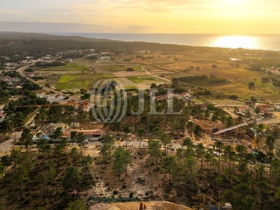 /international/pt/carvalhal-setubal-municipality-310104526199/