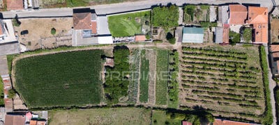 /international/pt/vilar-de-pinheiro-vila-do-conde-porto-310100716226/