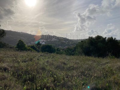 /international/pt/colares-lisbon-120096537834/