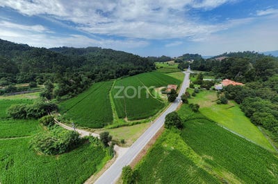 /international/pt/barcelos-braga-310093911890/