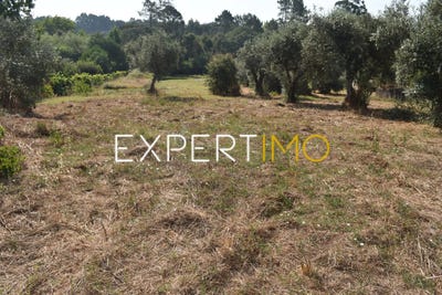 /international/pt/r-nossa-sra-da-graca-12-3260-021-aguda-portugal-leiria-leiria-310108861828/