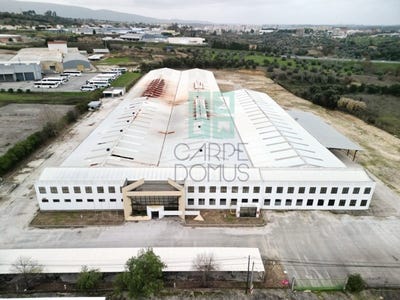 /international/pt/torres-novas-santa-maria-santarem-310105375744/