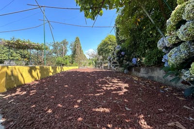 /international/pt/ribeira-grande-azores-310096909850/