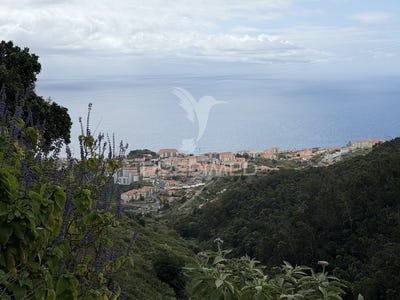 /international/pt/canico-santa-cruz-madeira-310107578318/