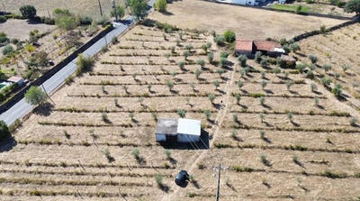/international/pt/n18-21-6005-118-alcains-portugal-alcains-castelo-branco-310105188579/