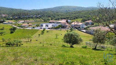 /international/pt/leiria-leiria-310099353550/