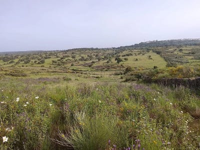 /international/pt/hfq5-r7-montalvao-portugal-montalvao-portalegre-310107372247/