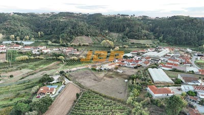 /international/pt/alcobaca-viana-do-castelo-310106594433/