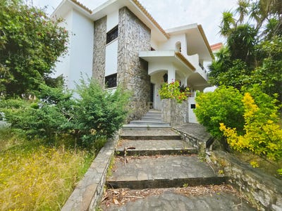 /international/pt/r-dr-costa-machado-entroncamento-portugal-nossa-senhora-de-fatima-lisbon-310108778769/