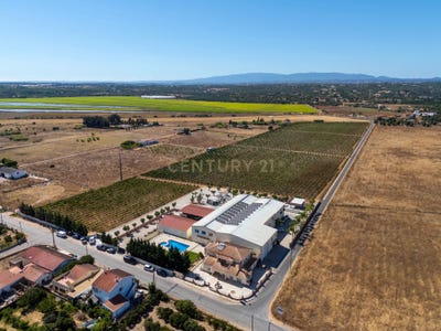 /international/pt/5j36-42-silves-portugal-silves-faro-310105178571/