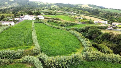 /international/pt/lomba-de-cima-49-9555-081-portugal-ilha-de-sao-miguel-azores-310107523183/