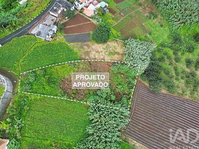 /international/pt/ilha-da-madeira-madeira-310104277766/