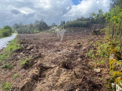 /international/pt/fornos-de-maceira-dao-mangualde-viseu-310098969826/