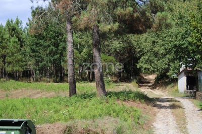 /international/pt/viseu-viseu-310094167376/?lang=zh-cn
