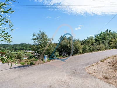 /international/pt/alburitel-santarem-310106132764/
